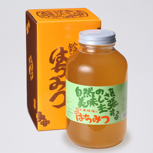 鈴木の菜の花蜂蜜【2.4kg】